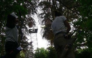 ferrierres100509-11.jpg